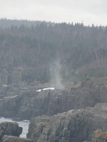 00623_spout_super_zoomed
