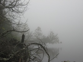 0021_foggy_lakeshore