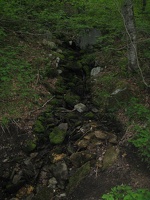 Mossy stream bed