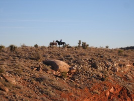 Horses at Calico Basin