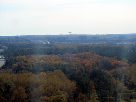 1169_forests_around_dulles