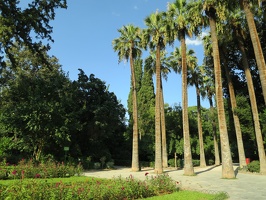 4499 palm trees in national garden