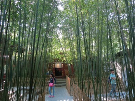 6726 bamboo