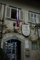 07919 slovenian flag