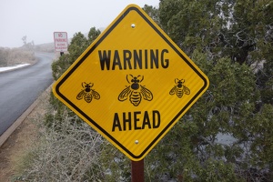 09783 warning bees ahead