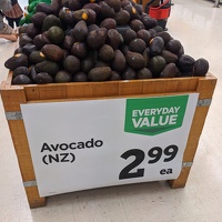 20200626 170445 avocado v1