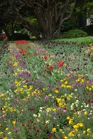 08997 flowerbeds