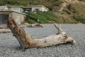 04585 driftwood