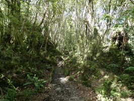 0451 smaller trail