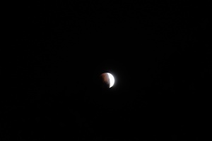 Lunar eclipse in Wellington, November 19
