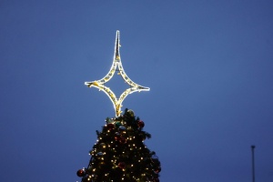 05664 lit star atop tree v1