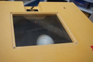 03093 an incubating egg