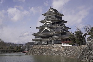 06299 matsumoto castle with bird flying by