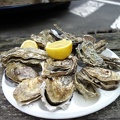 04337_plate_of_15_oysters.JPG