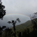 05995_rainbow_over_tree.JPG