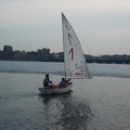 06-sailing-towards-harvard-bridge.jpg