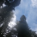 0133_hazy_blue_sky.jpg