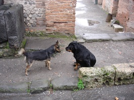 05588_woof2