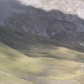 07408_more_sheep.jpg