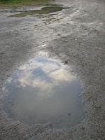 0093_reflected_sky