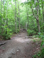 Trail beginning (Eagle Cut Trail)