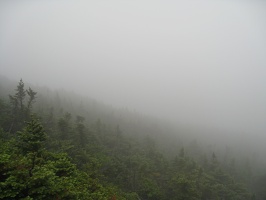 9193_wall_of_fog