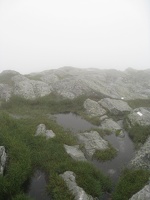 9198_grass_and_puddle_on_summit