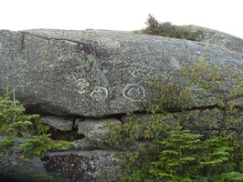 0085_circular_lichen_patterns