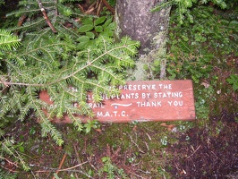 0094_please_stay_on_trail