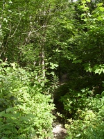 0128_now_towards_sugarloaf_spaulding