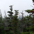0154_spaulding_view.jpg