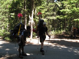 9658_walking