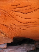Underside of rock