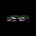 1472_weird_billboard2_v1.jpg