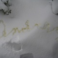 1322_andrew_signature.jpg
