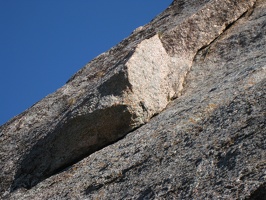 1634_gecko