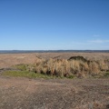 1640_island_of_green.jpg