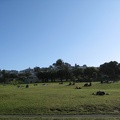 1803_well_used_public_space.jpg
