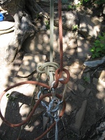 2224_removing_munter