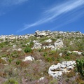 5154_rocky_slopes.JPG