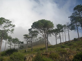 Descent from Table Mountain, May 10