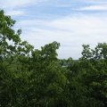 5692_atop_intertwine.JPG