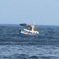 1381_boat.JPG