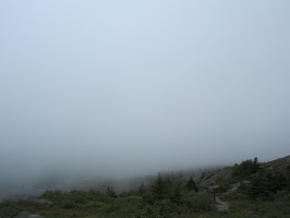 1202_visibility