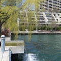 2099_waterfall_willow.JPG