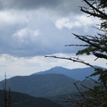 0108_branch.JPG