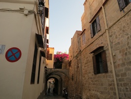 5033 alleyway with flowers