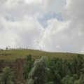 7867_ridgeline_trees.JPG