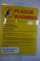 00412 the plague