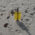 00531_warning_sea_turtle_nest.JPG